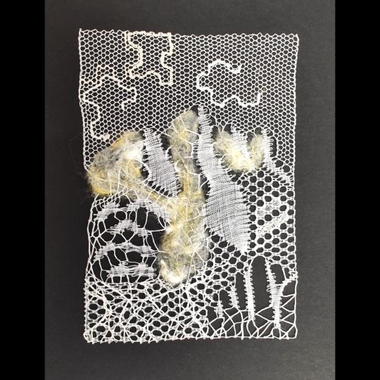 <b>Unfamiliar</b> <br>2024 <br>18,5x13 cm <br>bobbin lace, flett, embroidery